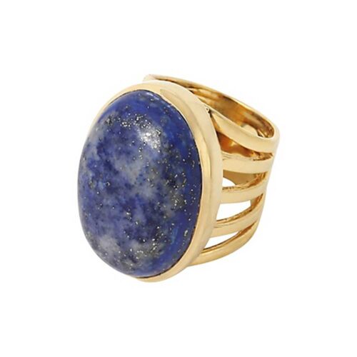 Vermeil and Lapis Lazuli Fantasy Ring